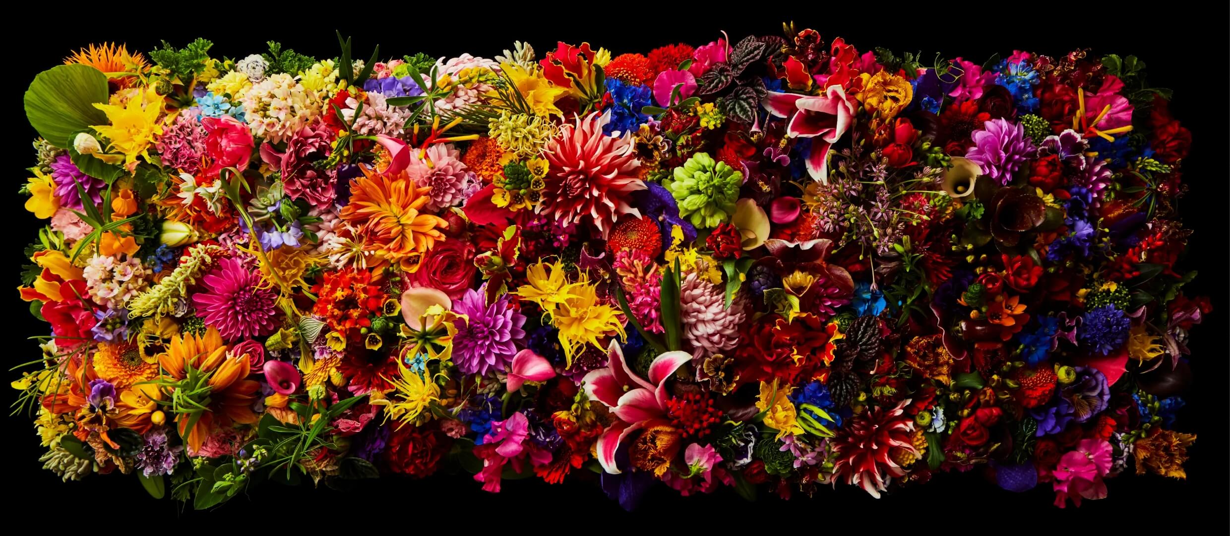 施術中の医師の画像