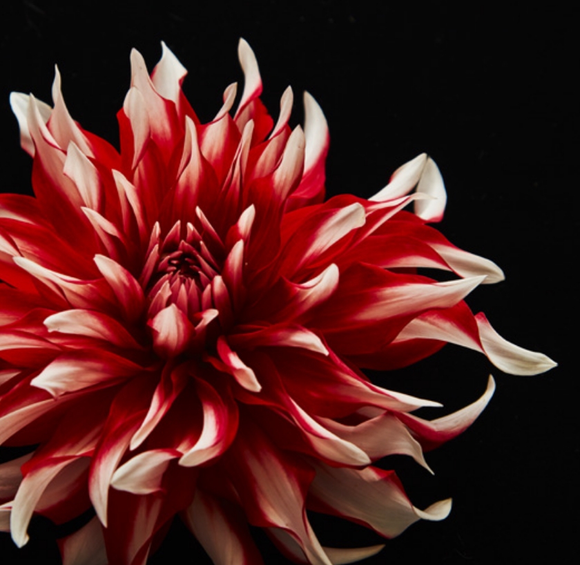 美容皮膚科の施術を受ける女性の画像