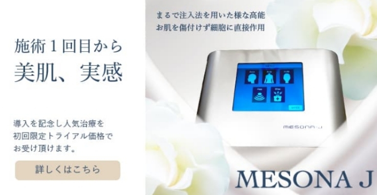 メソナJの画像